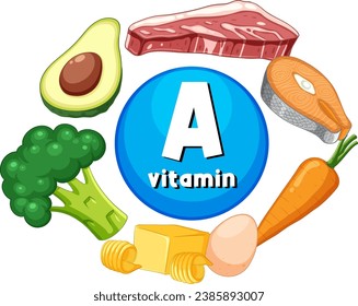 Learn about Vitamin A through a group of educational food illustrations