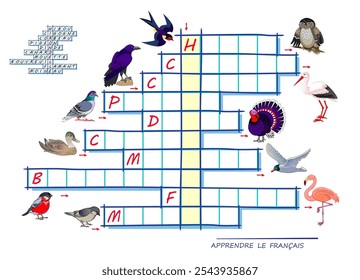 LEARN FRENCH. Crossword puzzle game with pictures of birds. Educational page for children to study French language and words. Worksheet for kids textbook. School exercise book. Vector illustration.