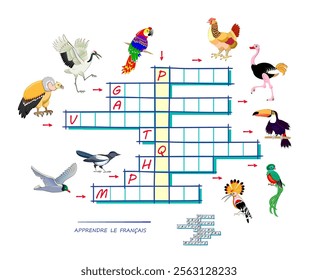 LEARN FRENCH. Crossword puzzle game with pictures of birds. Educational page for children to study French language and words. Worksheet for kids textbook. School exercise book. Vector illustration.