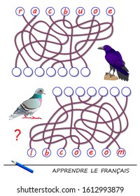 LEARN FRENCH. Logic puzzle game with cute birds for study French language. Find correct places for letters, write them in relevant circles and read the word. Printable worksheet for kids textbook.