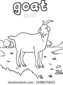 learn to write and color on the pages