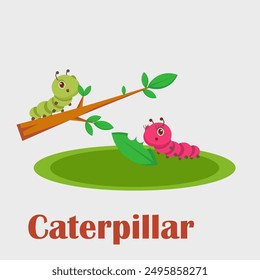 Learning alphabet C for Caterpillar