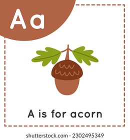 Learning alphabet flashcard for children. Learning letter A. A is for acorn.