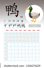 Learning Chinese vocabulary , Learn how to write Chinese Character, Exercises,Chinese Alphabet exercise with cartoon vocabulary illustration, A4 paper scale ready to print.  Translate: Duck.