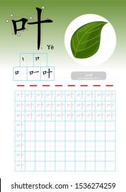 Learning Chinese vocabulary , Learn how to write Chinese Character, Exercises,Chinese Alphabet exercise with cartoon vocabulary illustration, A4 paper scale ready to print.  Translate: Leaf.