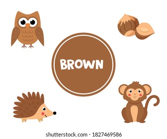 Flashcards Learning Colors Brown Color Educational Stock Vector ...