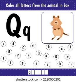 Learning English alphabet. Letters recognition.  Educational worksheet for school and kindergarten. Q is for quokka.