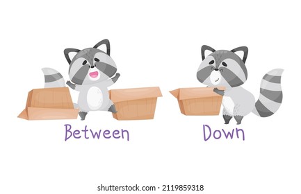 Learning English preposition set. Cute cat between and down the box. Educational visual material cartoon vector illustration