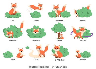 Learning English prepositions with a funny fox and green bush vector isolated. Animal character on and behind the bush. English language grammar.