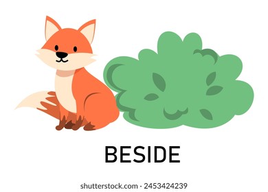 Learning English prepositions with a funny fox and green bush vector isolated. Animal character sitting beside a green bush. Cute red fox.