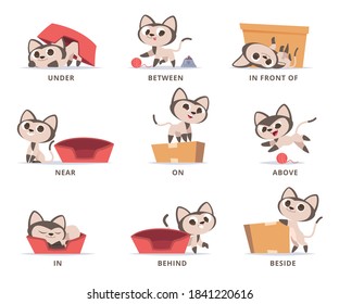 Learning english prepositions. Preschool grammar cute kitty playing with box prepositions on above under near in and on vector set