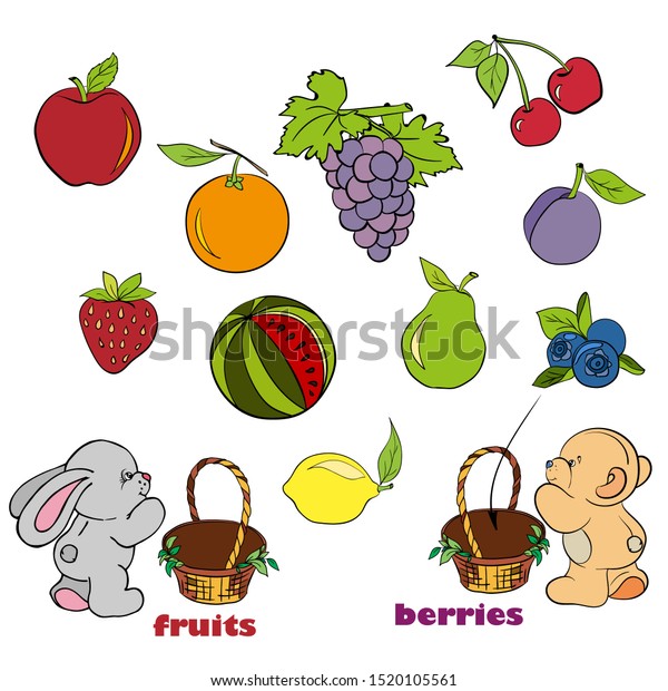 Learning Fruits Berries Game Kids Woorkbook Stock Vector Royalty Free
