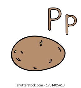 Learning letters letter P. Cartoon outline potato. Vector outline freehand drawing, sketch, vegetable, garden black lines, isolated white background, root vegetable. Visual material