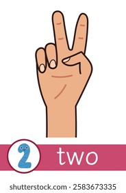 Learning number 2 flashcard for kids. Finger counting flash card for preschool. Vector illustration