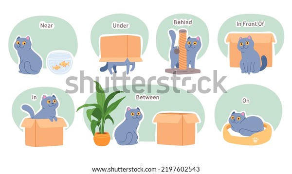 Learning positions in space in relation to\
objects, spatial awareness words set. Cute pet cat near, under,\
behind, between, on, in front of box. Position perception\
vocabulary education\
illustration