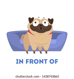 Learning preposition concept. Animal pug in front of the pillow. Isolated vector educational illustration in cartoon style