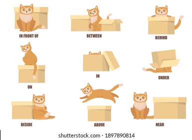 Learning prepositions with help of cat and box flat set for web design. Cartoon cat above, behind, between, near and under box isolated vector illustration collection. English vocabulary concept