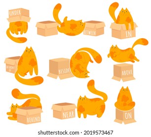 Learning prepositions of place. Funny fat cat character and paper box. Educational grammar rules. Hand drawn vector illustration. Cute kitty isolated on white. Studying foregin language concept. 

