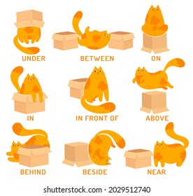 Learning prepositions of place. Funny fat cat character and paper box. Educational grammar rules. Hand drawn vector illustration. Cute kitty isolated on white. Studying foregin language concept. 

