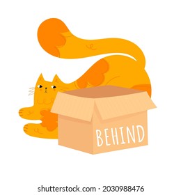 Learning prepositions of place. Funny fat cat behind the paper box. Educational grammar rules. Hand drawn vector illustration. Cute kitty isolated on white. Studying foregin language concept. 

