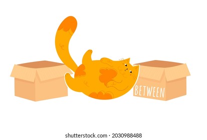 Learning prepositions of place. Funny fat cat between the paper boxes. Educational grammar rules. Hand drawn vector illustration. Cute kitty isolated on white. Studying foregin language concept. 

