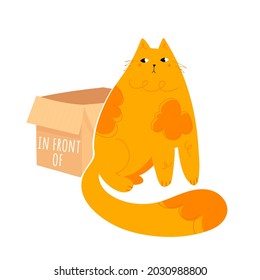 Learning prepositions of place. Funny fat cat sitting in front of the paper box. Educational grammar rules. Hand drawn vector illustration. Cute kitty isolated on white. Studying foregin language

