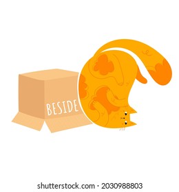 Learning prepositions of place. Funny fat cat beside the paper box. Educational grammar rules. Hand drawn vector illustration. Cute kitty isolated on white. Studying foregin language concept. 


