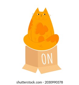 Learning prepositions of place. Funny fat cat sitting on the paper box. Educational grammar rules. Hand drawn vector illustration. Cute kitty isolated on white. Studying foregin language concept. 

