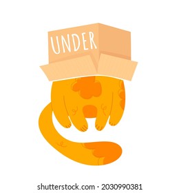 Learning prepositions of place. Funny fat cat under the paper box. Educational grammar rules. Hand drawn vector illustration. Cute kitty isolated on white. Studying foregin language concept. 

