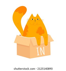 Learning prepositions of place. Funny fat cat sitting in the paper box. Educational grammar rules. Hand drawn vector illustration. Cute kitty isolated on white. Studying foregin language concept. 

