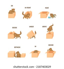 Learning prepositions. Topologia study language preposition, playful cartoon cat placed in box, place animal house, english grammar child vocabulary, funny pet vector illustration of language english