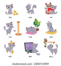 Learning Verbs of Action with Grey Cat Pet Vector Set