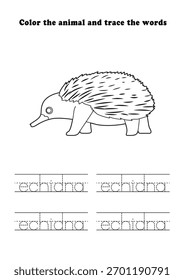 Planilha de aprendizado Echidna Coloring Tracing
