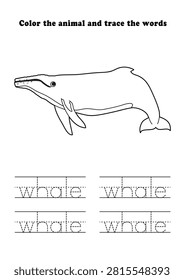 Learning Worksheet Humpback Whale Coloring Tracing Aquatic Animal