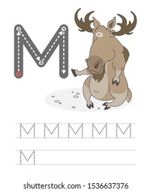 Learning to write a letter - M. A practical sheet from a set of exercises game for kids. Cartoon funny horned animal with letter. Spelling the alphabet. Child development and education.Moose - Vector.