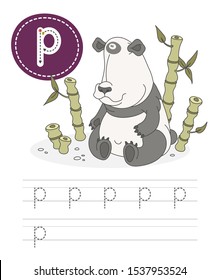 Learning to write a letter - p. A practical sheet from a set of exercises game for kids. Cartoon funny animal with letter. Spelling the alphabet. Child development and education. Panda - Vector.