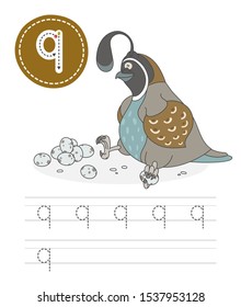 Learning to write a letter - q. A practical sheet from a set of exercises game for kids. Cartoon funny reptile with letter. Spelling the alphabet. Child development and education. Quail - Vector.