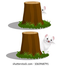 Least Weasel (Mustela nivalis) hides behind a stump in the forest isolated on a white background. Vector cartoon close-up illustration.