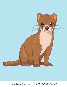 Least Weasel Weasels Sitting Side View