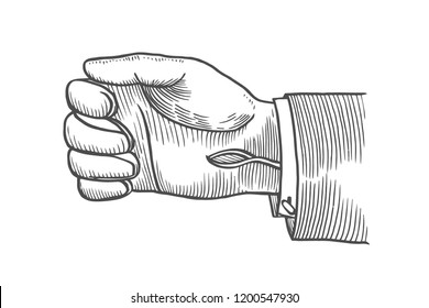 Leather Gloved on Hand, drawing, engraving, ink, line art, vector