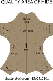 Leather hide quality area used for teaching and education purpose in export and quality control