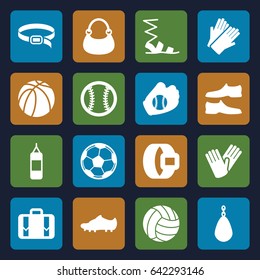 Leather icons set. set of 16 leather filled icons such as gloves, sandals, man shoe, bag, belt, basketball, luggage, soccer trainers, baseball glove, baseball, volleyball