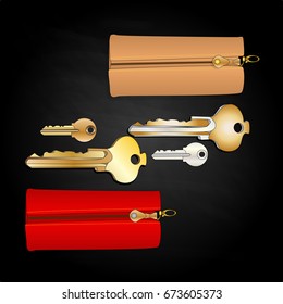 Leather key chain isolated with key