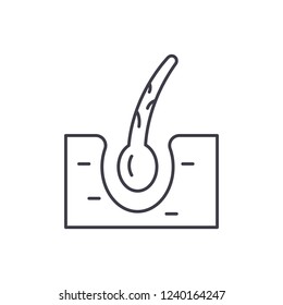 Leather line icon concept. Leather vector linear illustration, symbol, sign