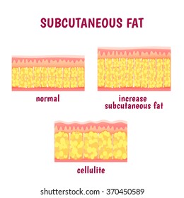 Subcutaneous tissue svg