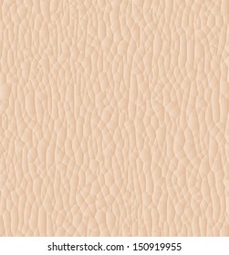 Leather texture closeup for background. Vector