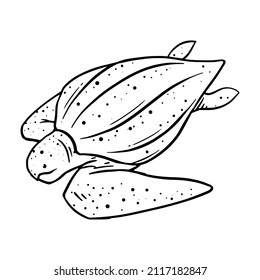 Leatherback sea turtle hand drawn vector illustration.