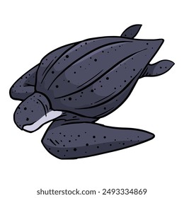 leatherback sea turtle hand drawn color vector illustration