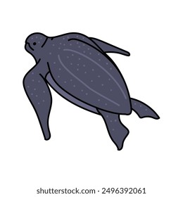 leatherback sea turtle hand drawn color vector illustration