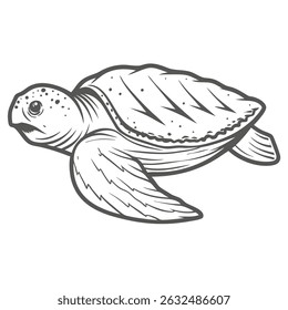 Leatherback Sea Turtle Line Art Illustration